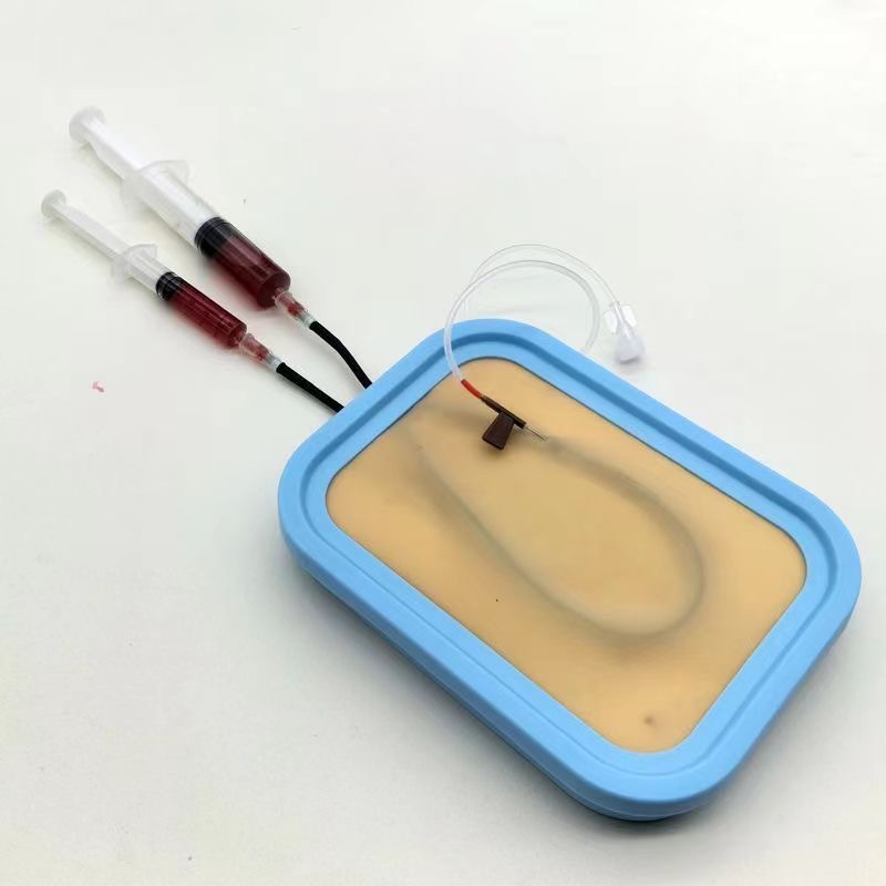 Venipuncture Training Kit Sili - Model Kit Tool Set ulasan dan harga