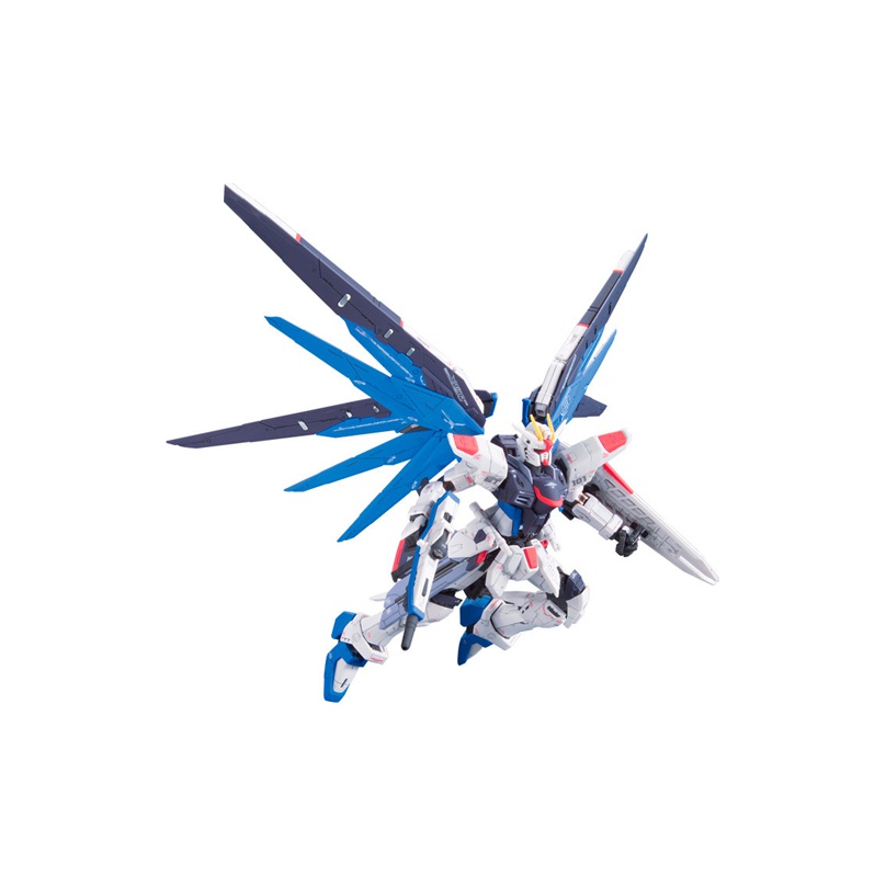 BANDAI Mobile Suit Gundam SEED - Model Kit Rg ulasan dan harga